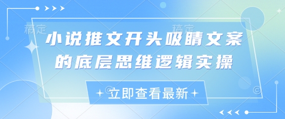 小说推文开头吸睛文案的底层思维逻辑实操-梦影博客